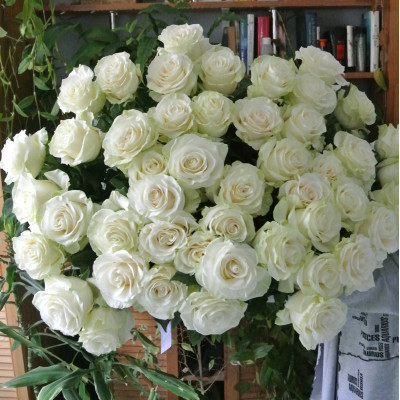 Белые розы (51шт)