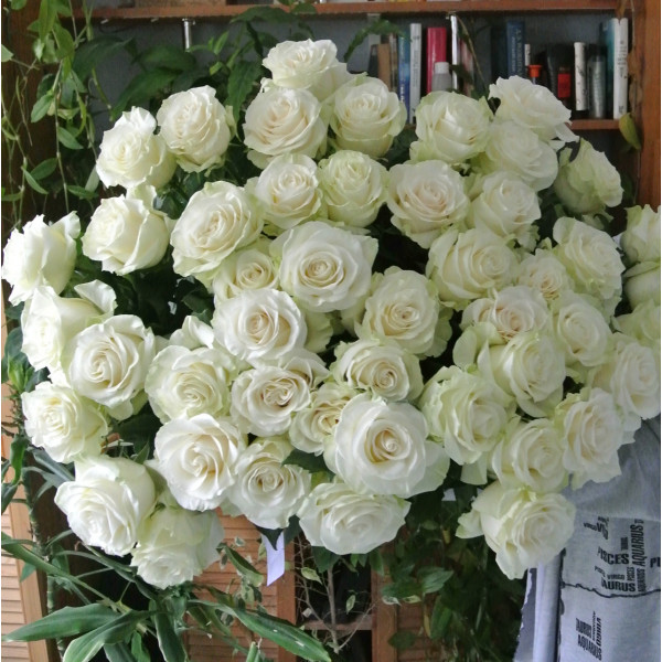 Белые розы (51шт)